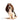 Hush Puppies