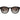 Ted Baker Dax Sunglasses | Classic Tortoiseshell