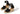 TOMS Womens Marisol Wedge Sandal - Black