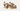 UGG Womens Goldenstar Sandal - Sand
