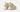 UGG Womens Cora Sandal - Jasmine