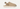 UGG Womens Goldenstar Clog - Sand