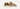 UGG Womens Goldenstar Clog - Sand