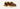 UGG Womens Goldenstar Glide Sandal - Chestnut
