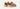 UGG Womens Goldenstar Glide Sandal - Sand