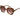 Ted Baker Aurora Sunglasses | Classic Tortoiseshell