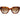 Ted Baker Coral Sunglasses | Classic Tortoiseshell