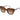Ted Baker Coral Sunglasses | Classic Tortoiseshell