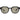 All Saints Roman Sunglasses | Black