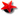 Crocs Jibbitz Elevated Star Shape Charm