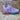 Lelli Kelly Kids Clara Luci Light Up Trainer - Rose Pink